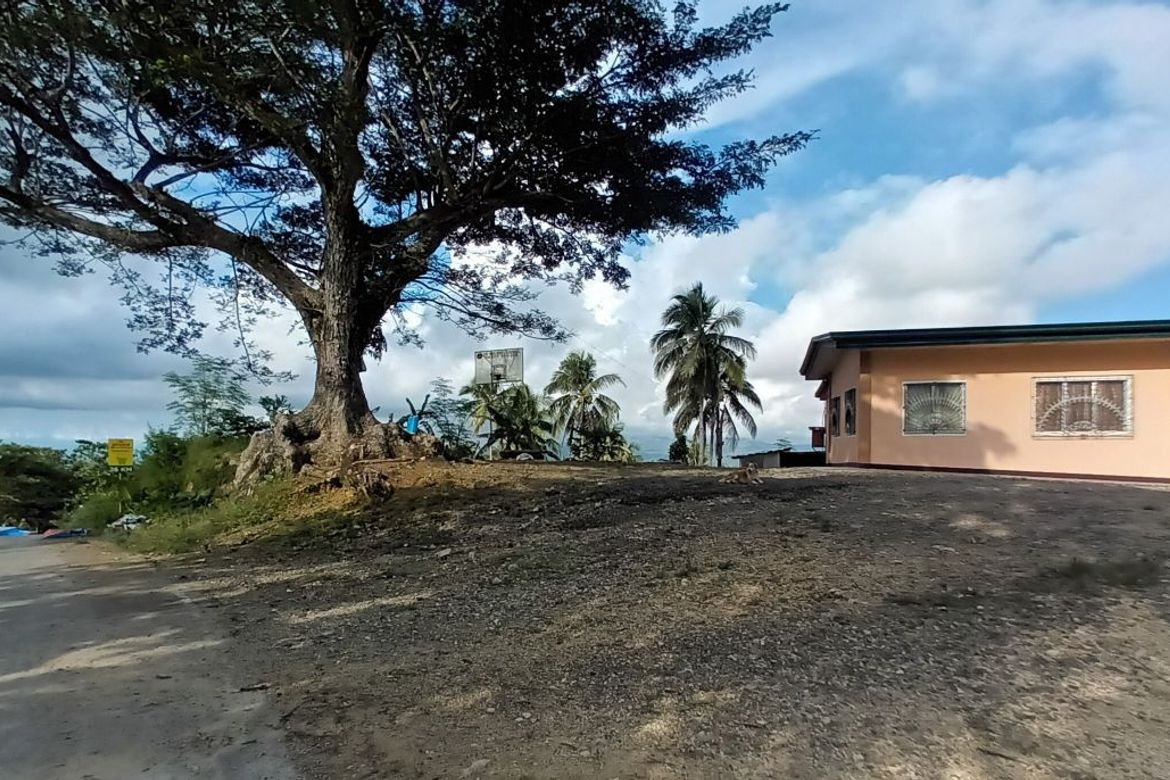 Land for Sale in Tulang, Argao, Cebu – photo 7