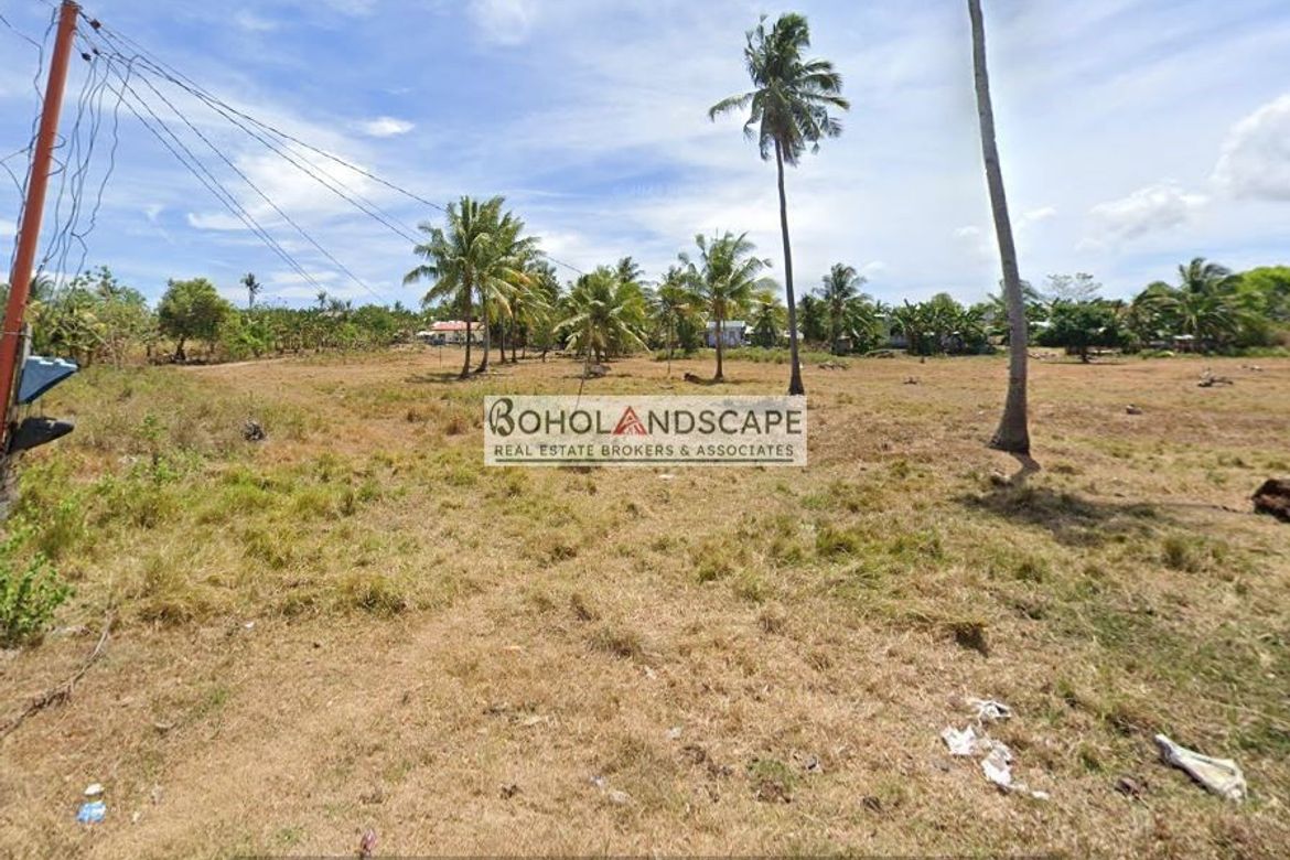 Land for Sale in Tulang, Getafe, Bohol – photo 2