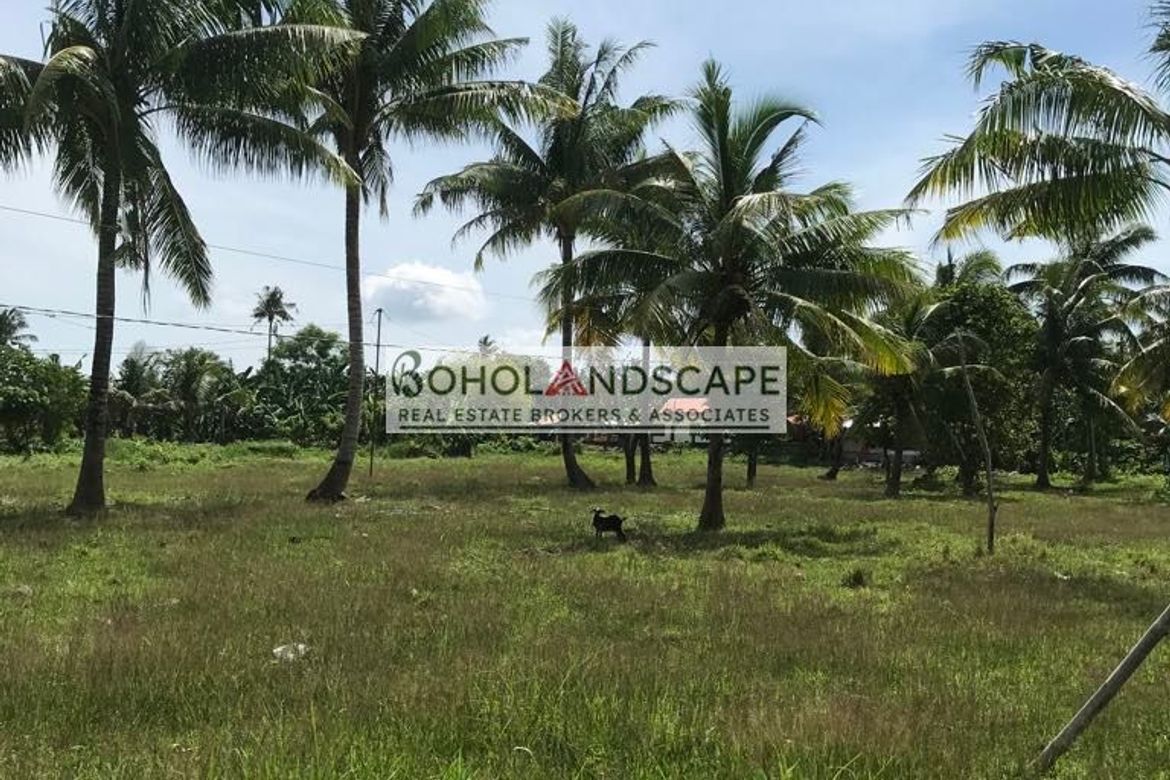 Land for Sale in Tulang, Getafe, Bohol – photo 4