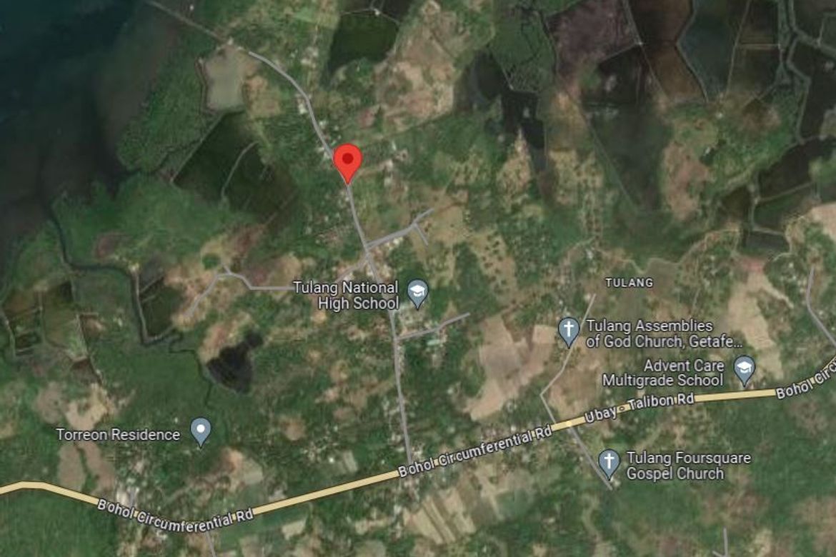 Land for Sale in Tulang, Getafe, Bohol – photo 6