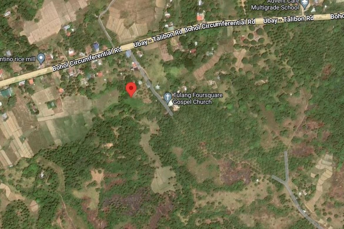 Land for Sale in Tulang, Getafe, Bohol – photo 7