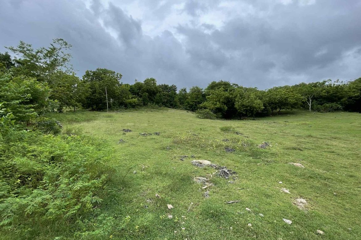 Land for Sale in Tulapos, Enrique Villanueva, Siquijor – photo 2