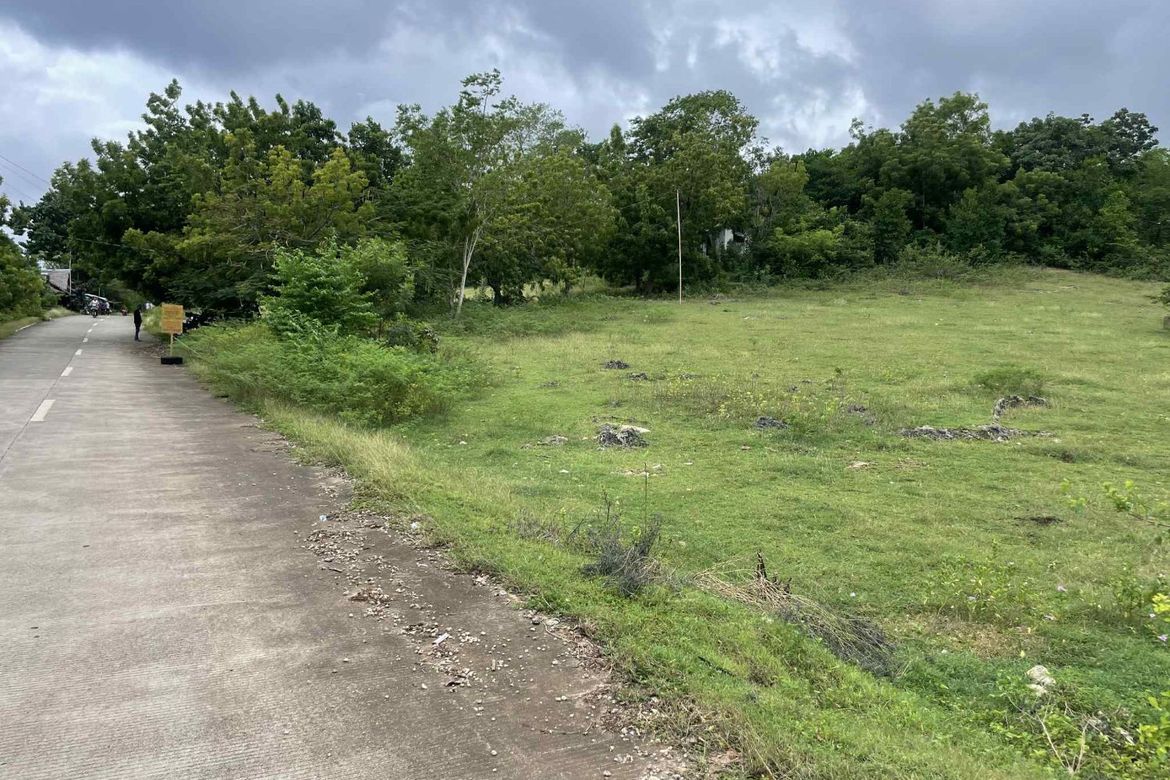 Land for Sale in Tulapos, Enrique Villanueva, Siquijor – photo 4