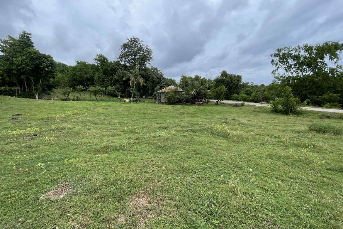 Land for Sale in Tulapos, Enrique Villanueva, Siquijor – photo 5