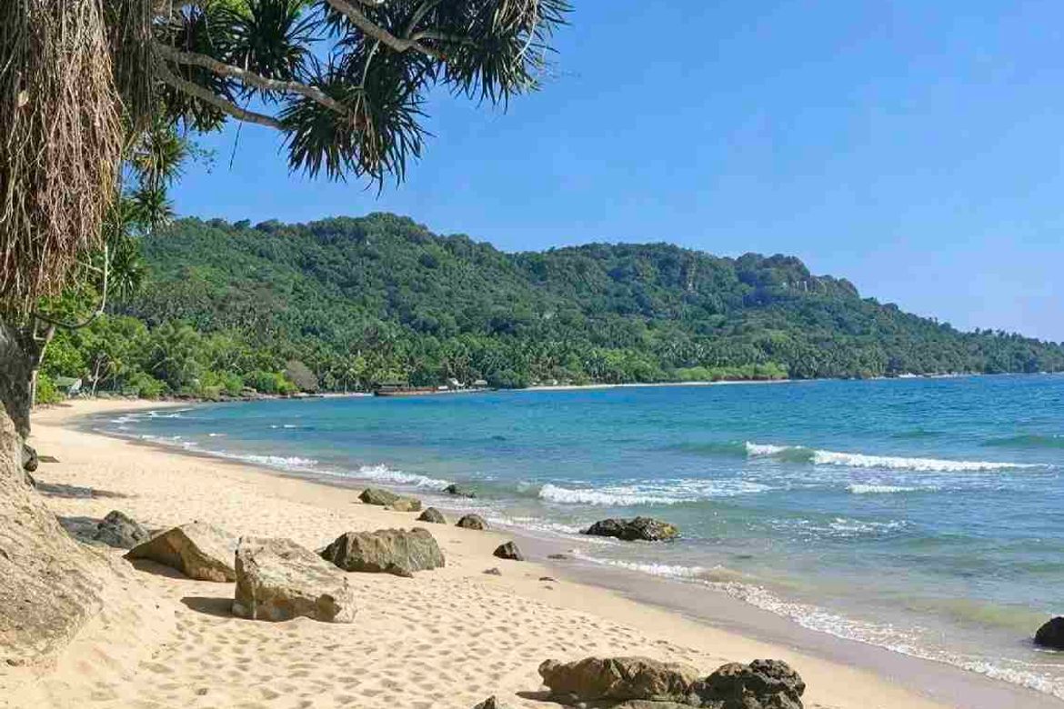 Land for Sale in Tulay Buhangin, Padre Burgos, Quezon