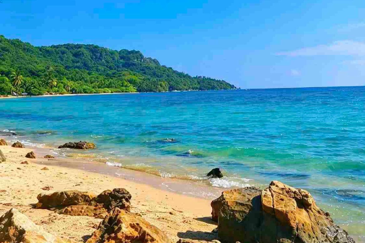 Land for Sale in Tulay Buhangin, Padre Burgos, Quezon – photo 3