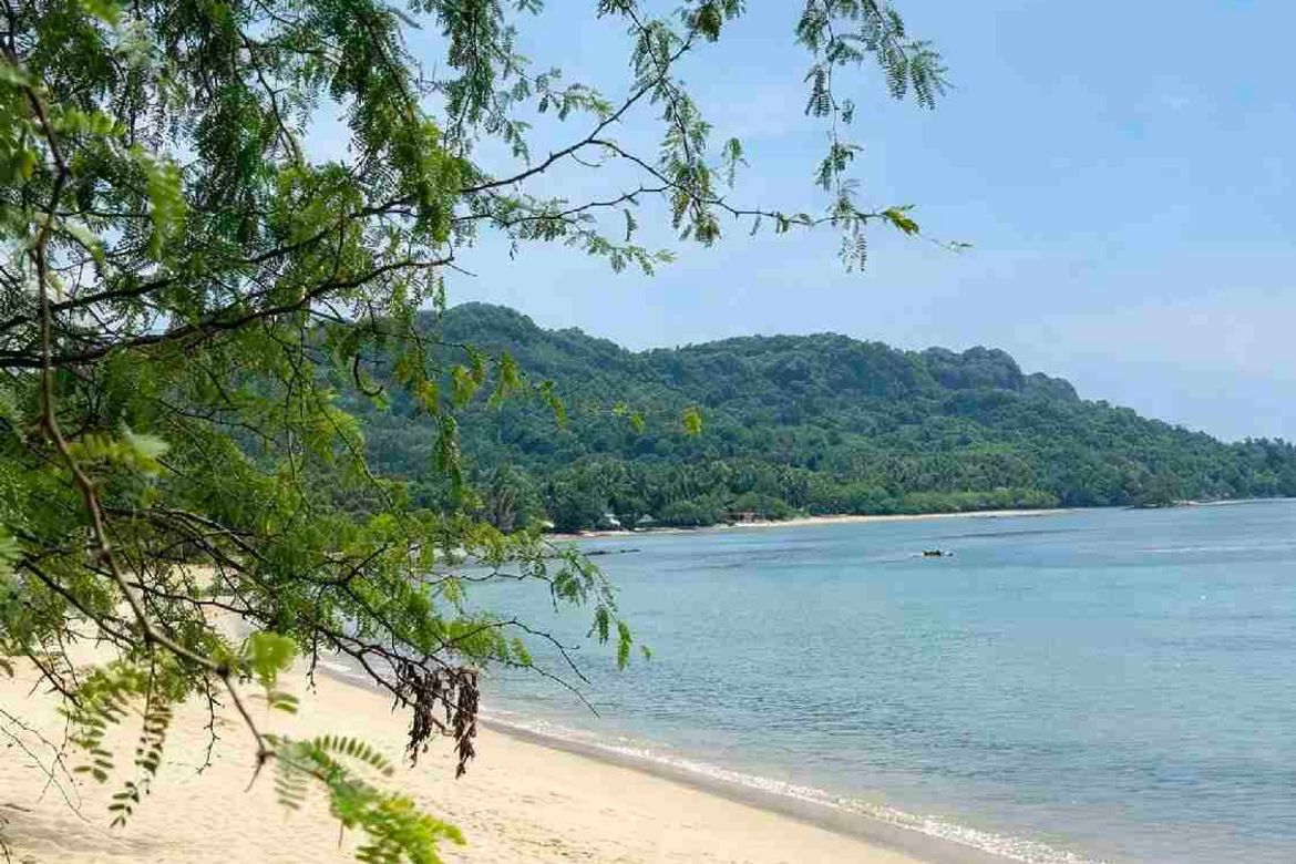 Land for Sale in Tulay Buhangin, Padre Burgos, Quezon – photo 7
