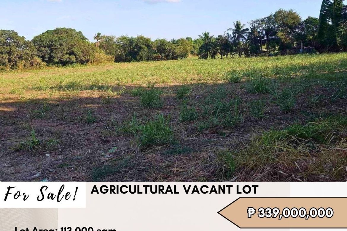 Land for Sale in Tulay Na Patpat, Ibaan, Batangas