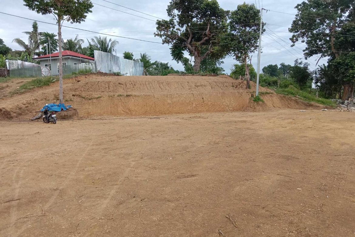 Land for Sale in Tulic, Argao, Cebu