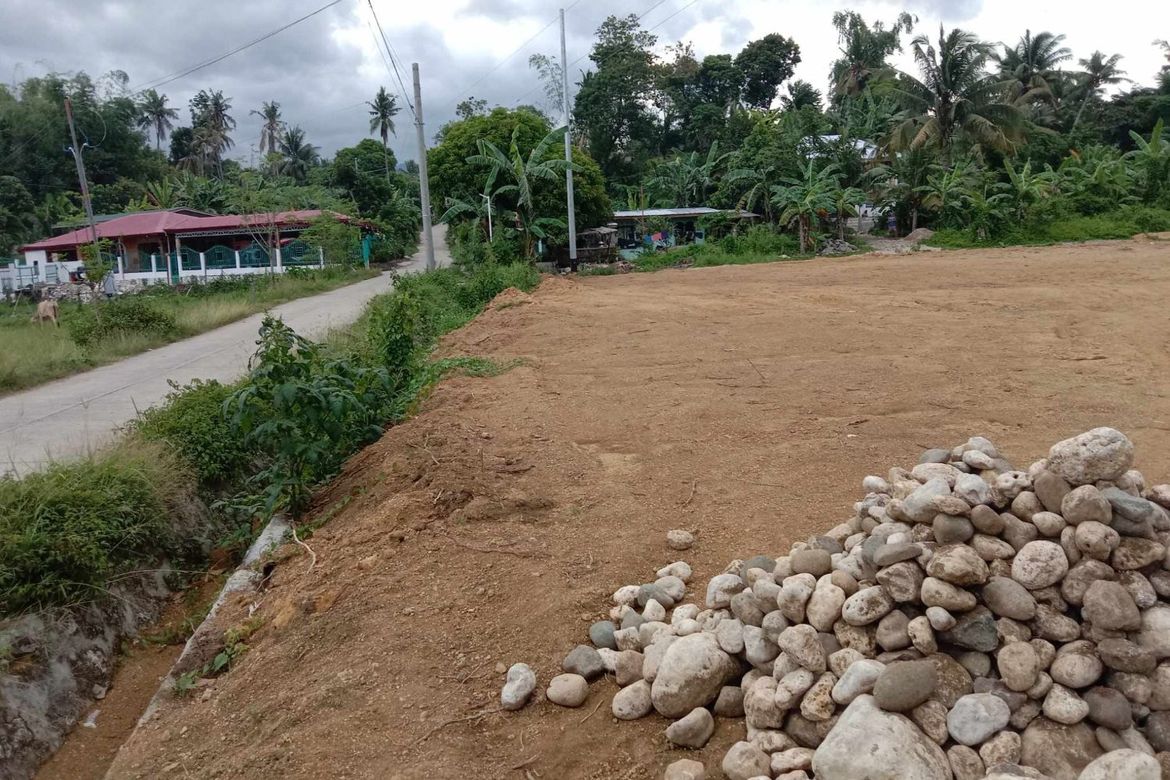 Land for Sale in Tulic, Argao, Cebu