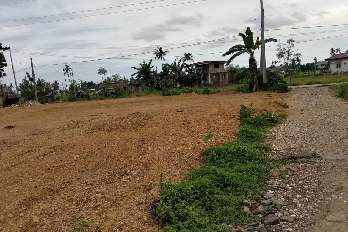 Land for Sale in Tulic, Argao, Cebu – photo 4