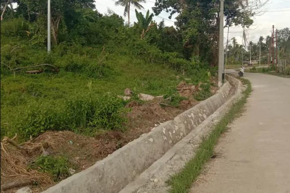 Land for Sale in Tulic, Argao, Cebu – photo 8
