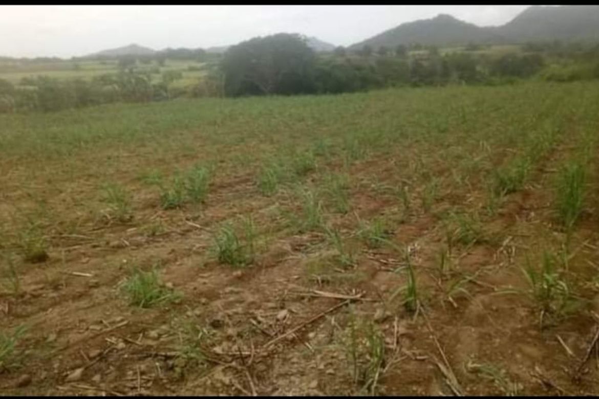 Land for Sale in Tumalim, Nasugbu, Batangas – photo 5