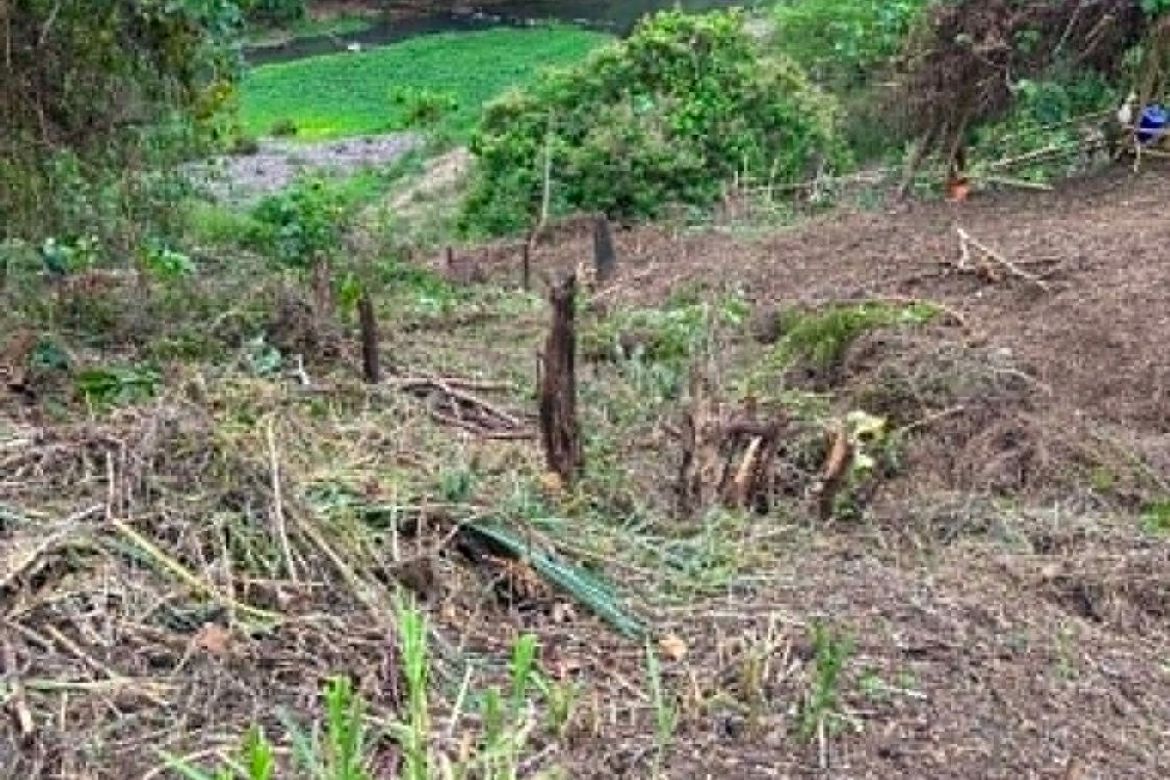 Land for Sale in Tumalim, Nasugbu, Batangas – photo 6