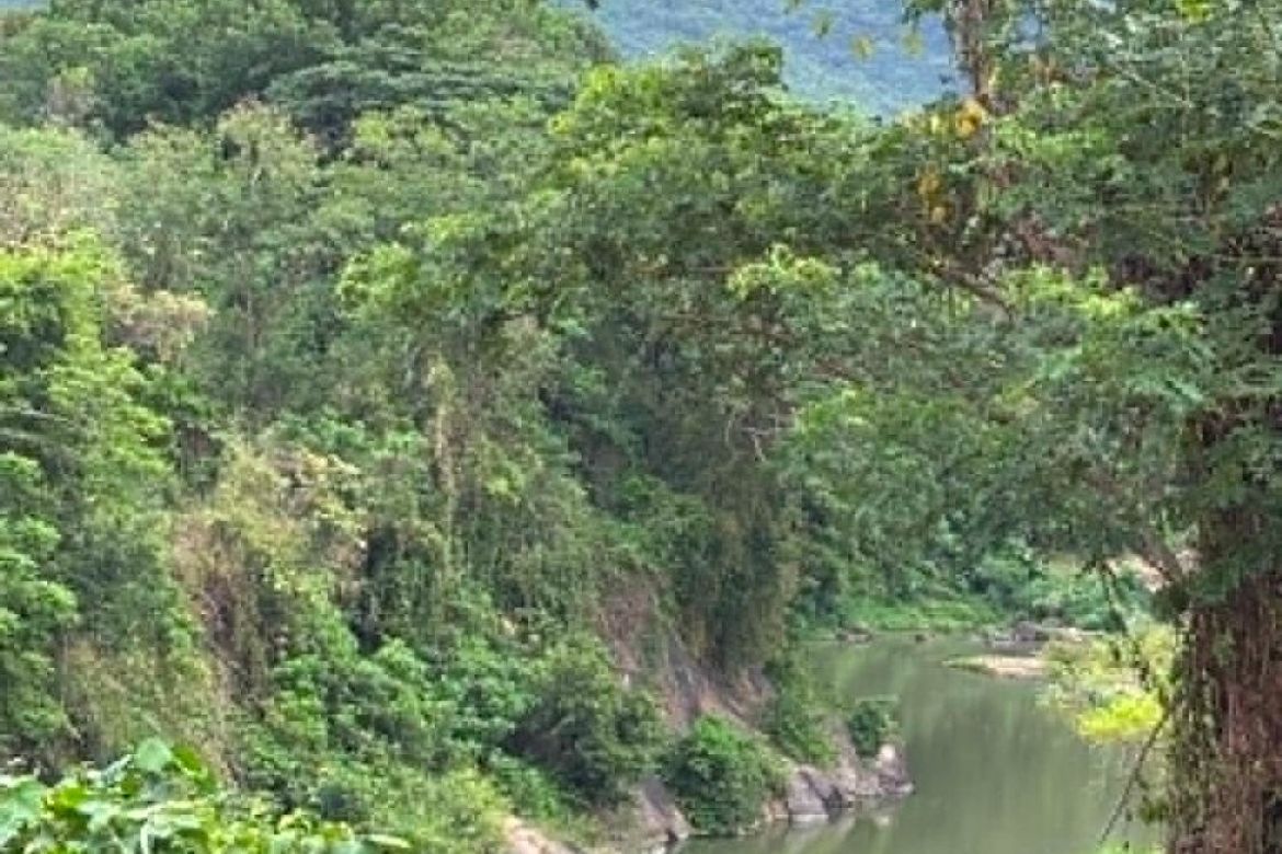 Land for Sale in Tumalim, Nasugbu, Batangas – photo 8