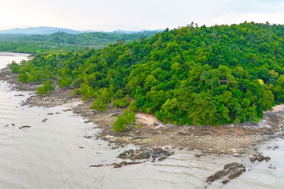 Land for Sale in Tumarbong, Roxas, Palawan – photo 3