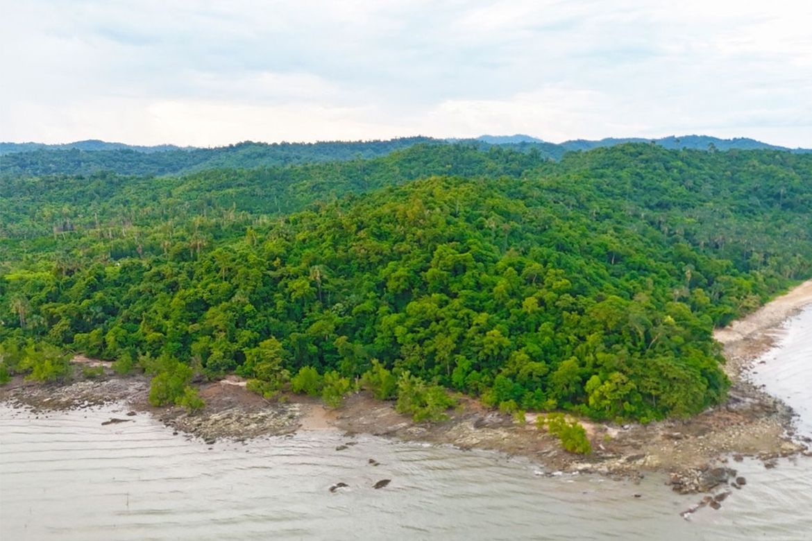 Land for Sale in Tumarbong, Roxas, Palawan – photo 4