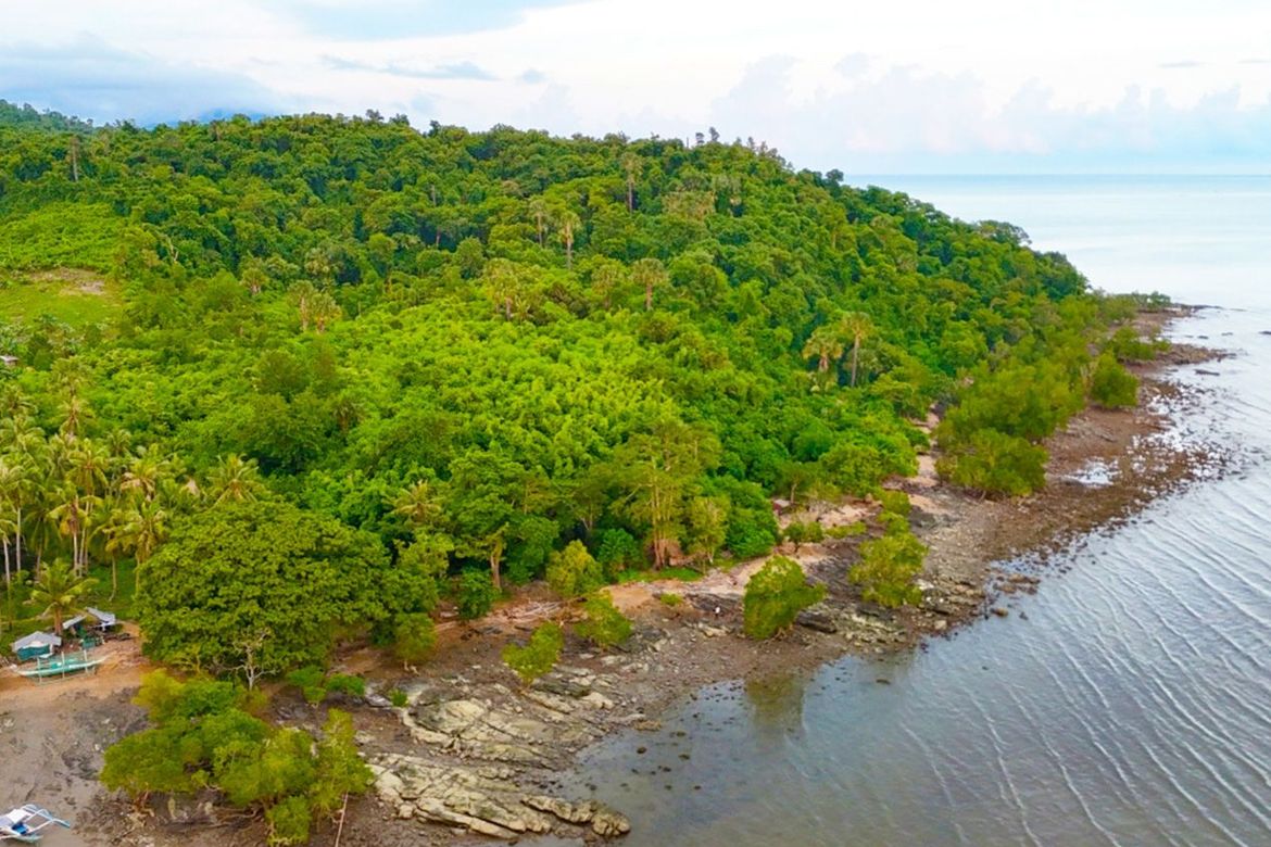 Land for Sale in Tumarbong, Roxas, Palawan – photo 5
