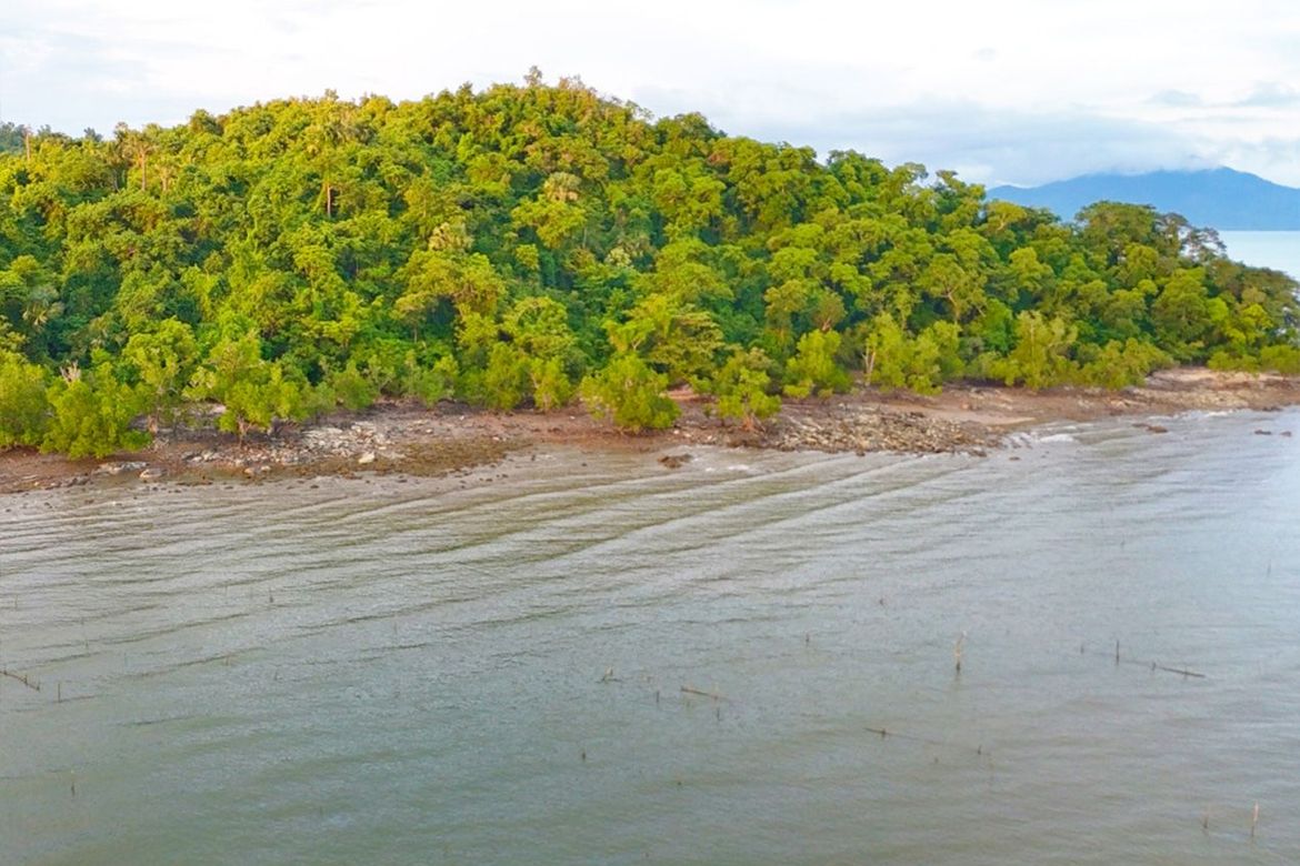Land for Sale in Tumarbong, Roxas, Palawan – photo 6