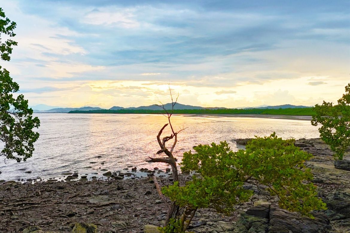 Land for Sale in Tumarbong, Roxas, Palawan – photo 8