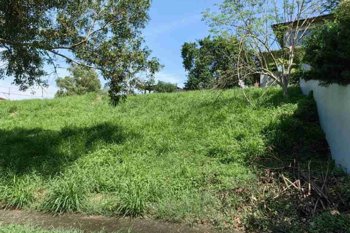 Land for Sale in Tunasan, Muntinlupa, Metro Manila – photo 2