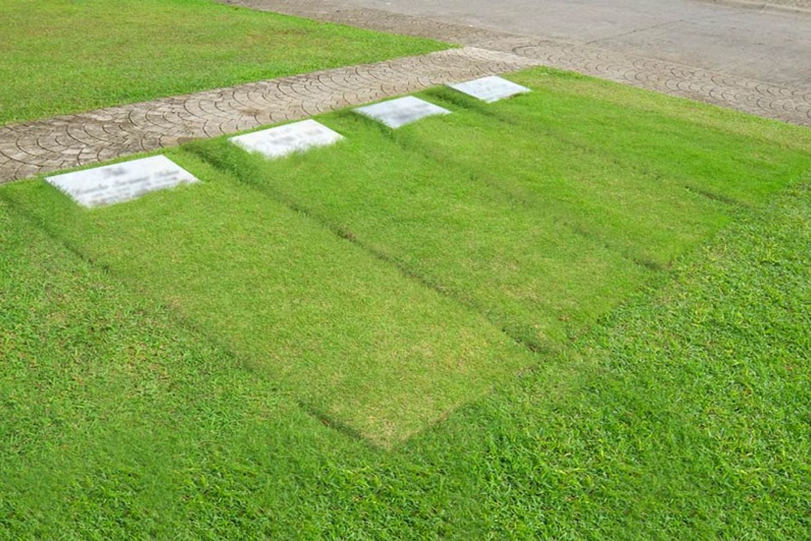 Land for Sale in Tunasan, Muntinlupa, Metro Manila – photo 4