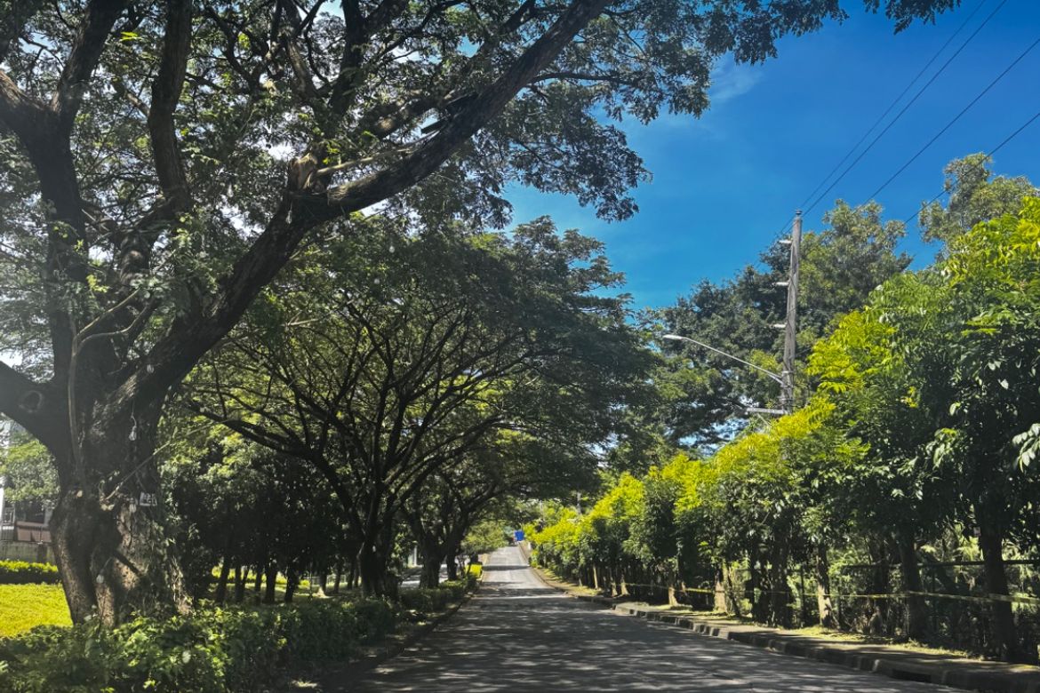 Land for Sale in Tunasan, Muntinlupa, Metro Manila – photo 4