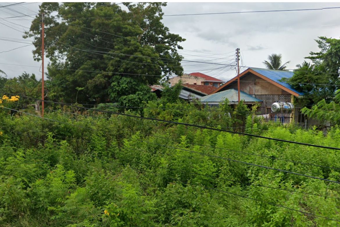 Land for Sale in Tunga, Moalboal, Cebu – photo 2