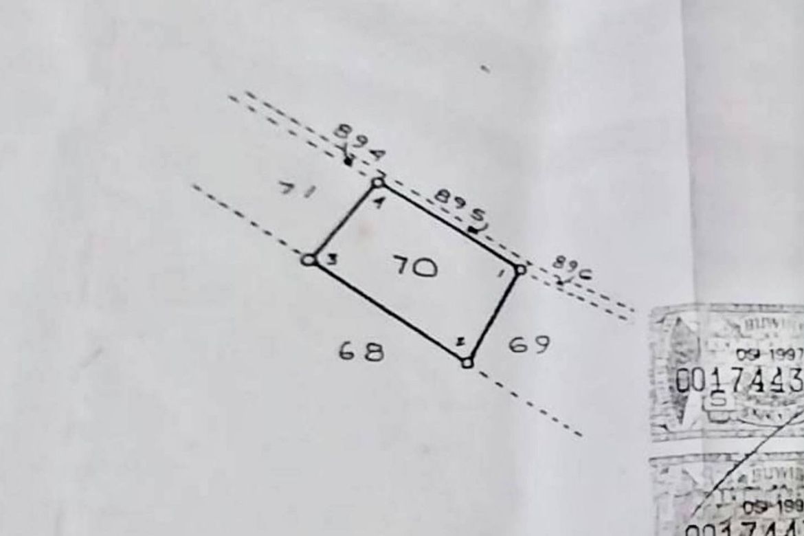 Land for Sale in Tunga, Moalboal, Cebu – photo 3