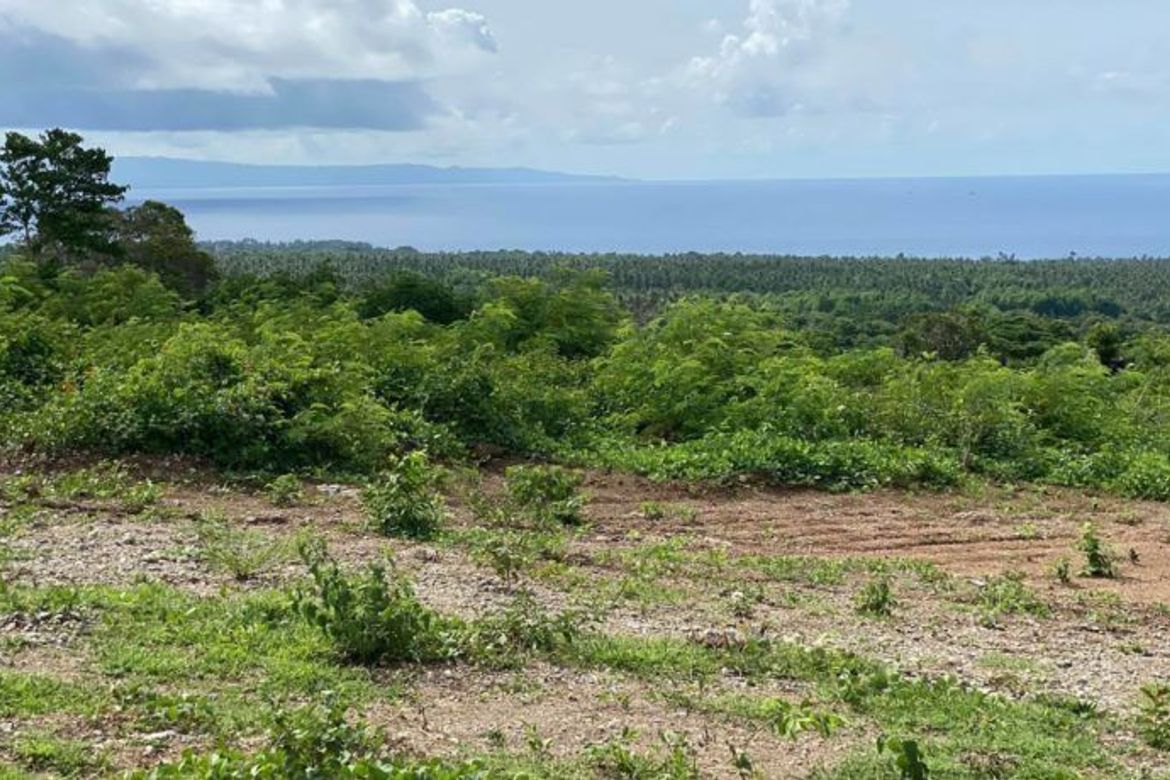 Land for Sale in Tunga-Tunga, Dauin, Negros Oriental
