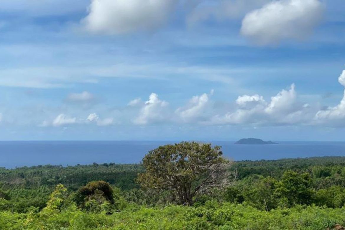 Land for Sale in Tunga-Tunga, Dauin, Negros Oriental – photo 2