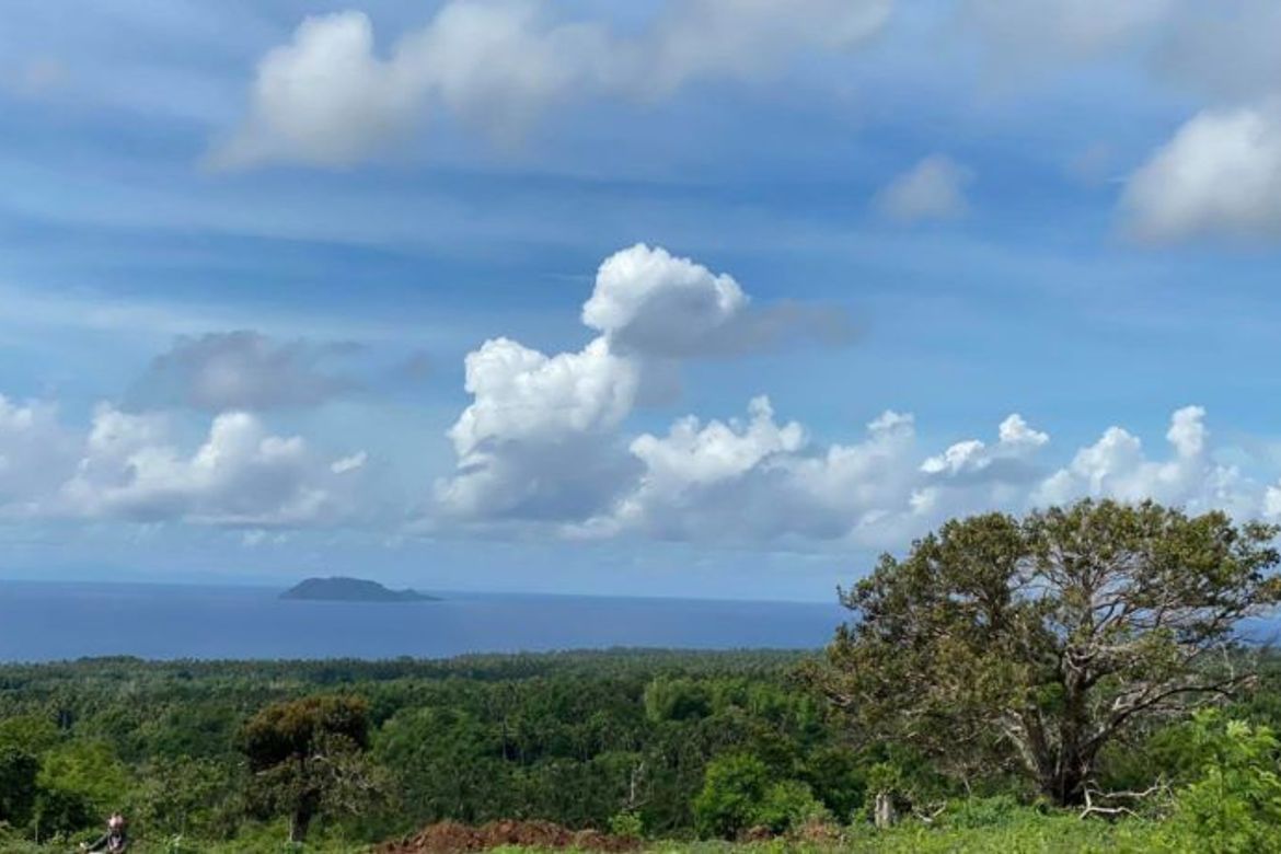 Land for Sale in Tunga-Tunga, Dauin, Negros Oriental – photo 3