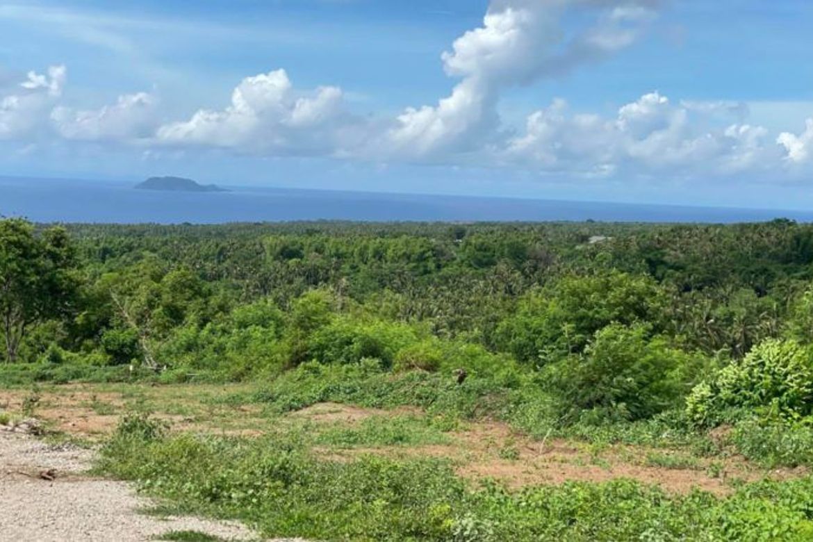 Land for Sale in Tunga-Tunga, Dauin, Negros Oriental – photo 4