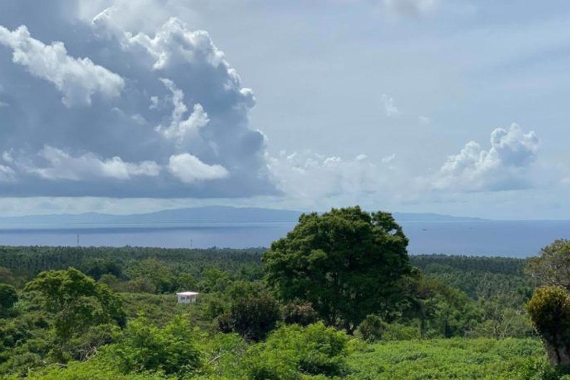 Land for Sale in Tunga-Tunga, Dauin, Negros Oriental – photo 6