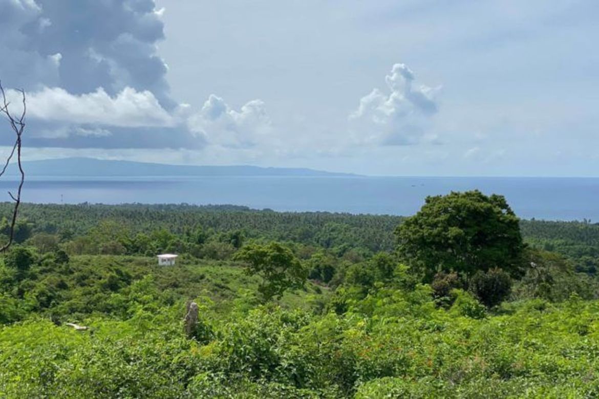 Land for Sale in Tunga-Tunga, Dauin, Negros Oriental – photo 7