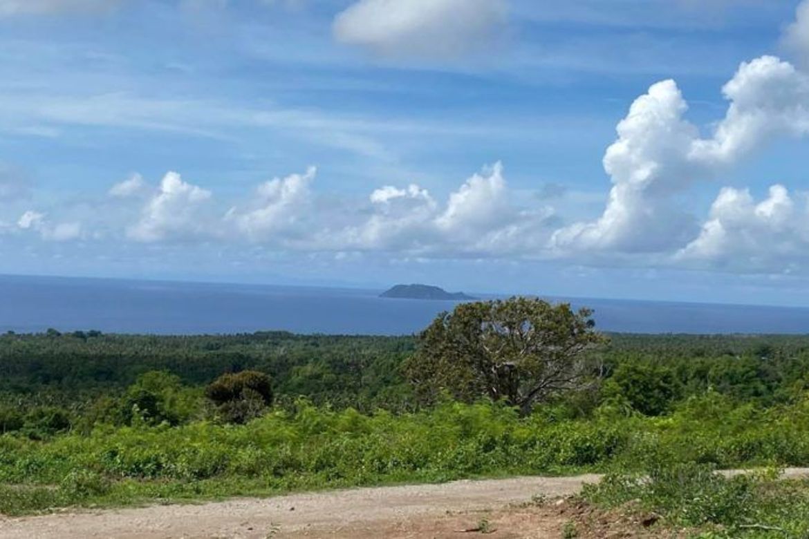 Land for Sale in Tunga-Tunga, Dauin, Negros Oriental – photo 8