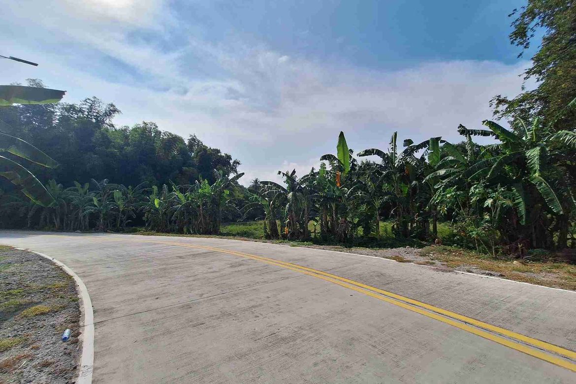 Land for Sale in Tunga-Tunga, Dauin, Negros Oriental
