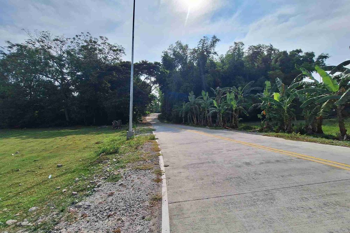 Land for Sale in Tunga-Tunga, Dauin, Negros Oriental – photo 3