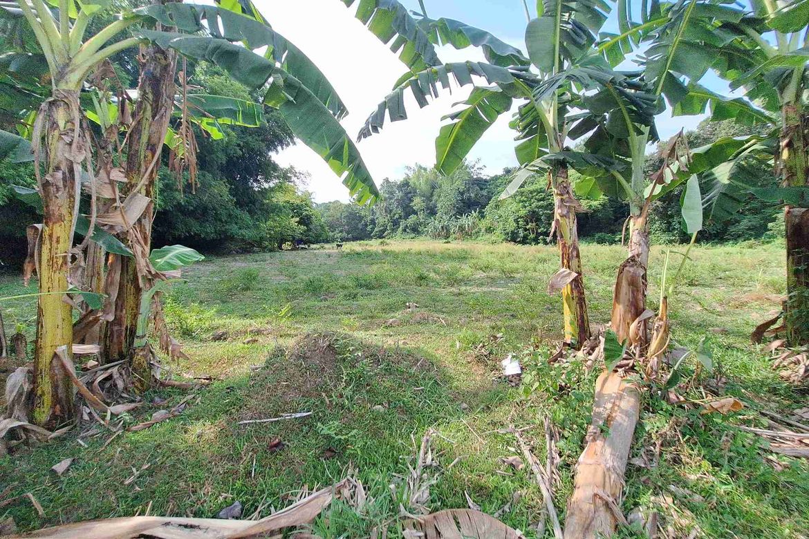 Land for Sale in Tunga-Tunga, Dauin, Negros Oriental – photo 4