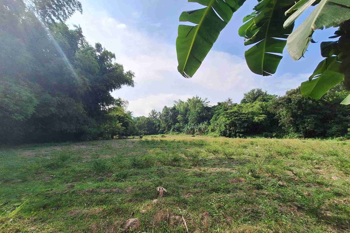 Land for Sale in Tunga-Tunga, Dauin, Negros Oriental – photo 5