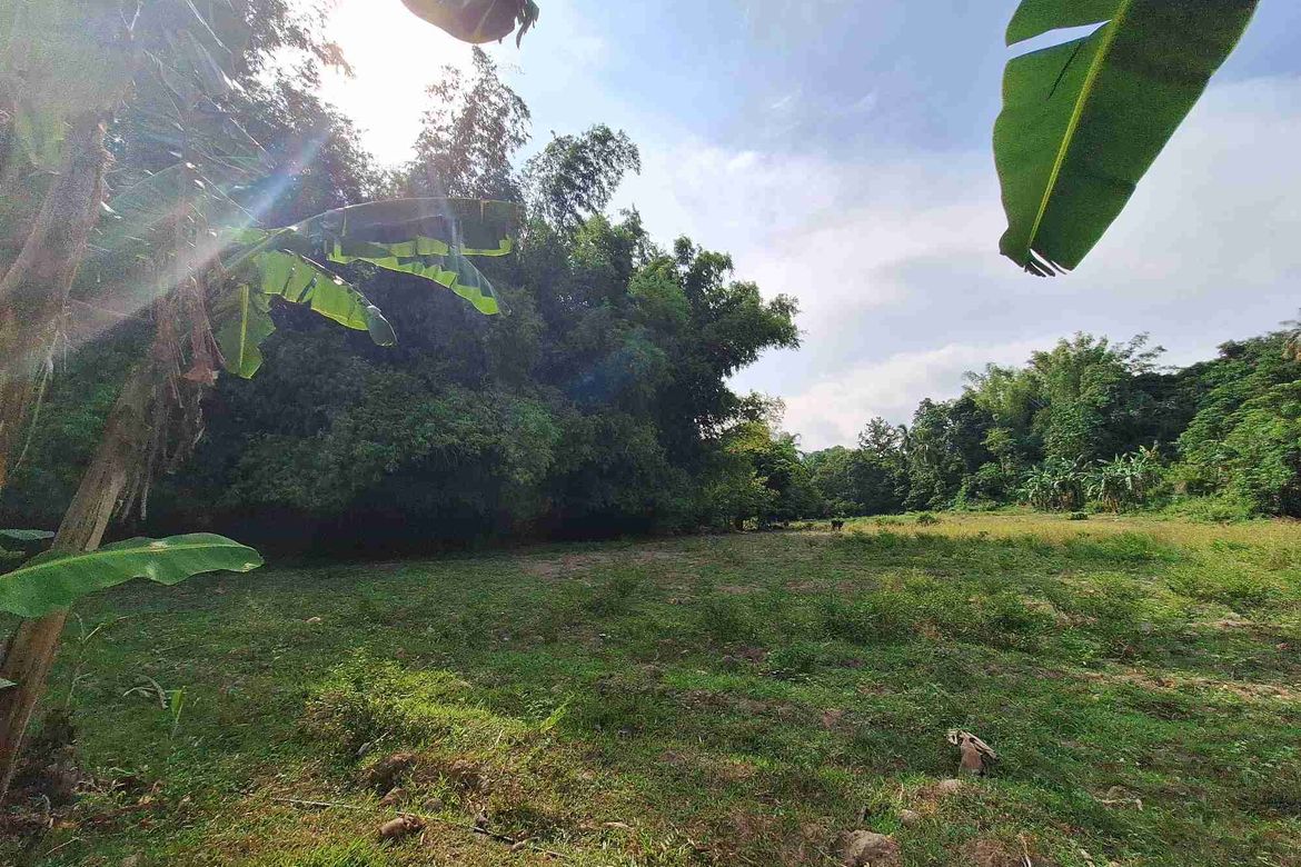 Land for Sale in Tunga-Tunga, Dauin, Negros Oriental – photo 6