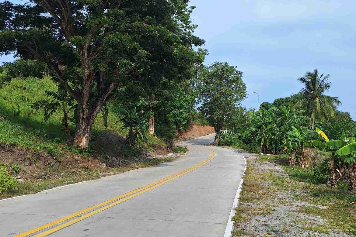 Land for Sale in Tunga-Tunga, Dauin, Negros Oriental – photo 8