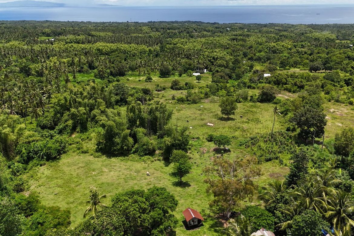 Land for Sale in Tunga-Tunga, Dauin, Negros Oriental