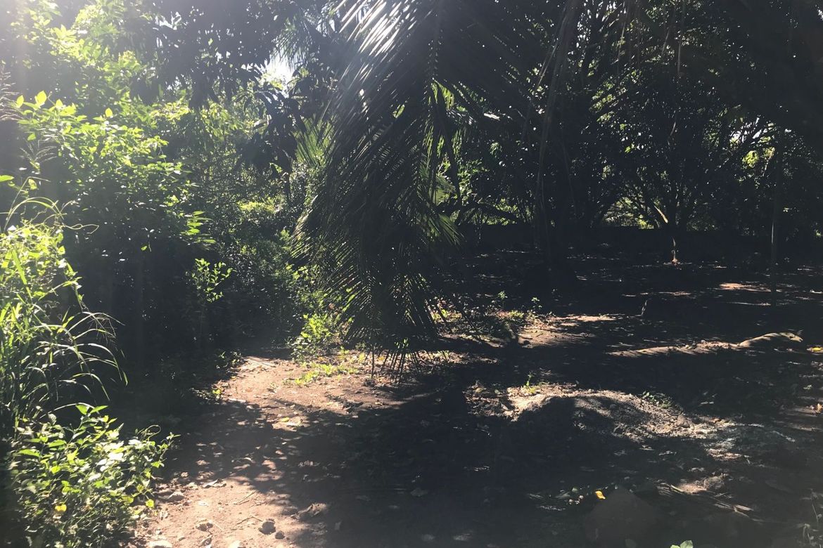 Land for Sale in Tunga-Tunga, Dauin, Negros Oriental – photo 2