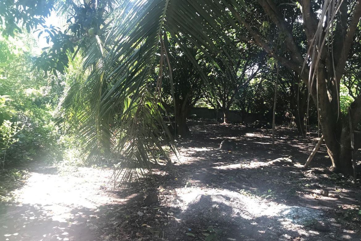 Land for Sale in Tunga-Tunga, Dauin, Negros Oriental – photo 3