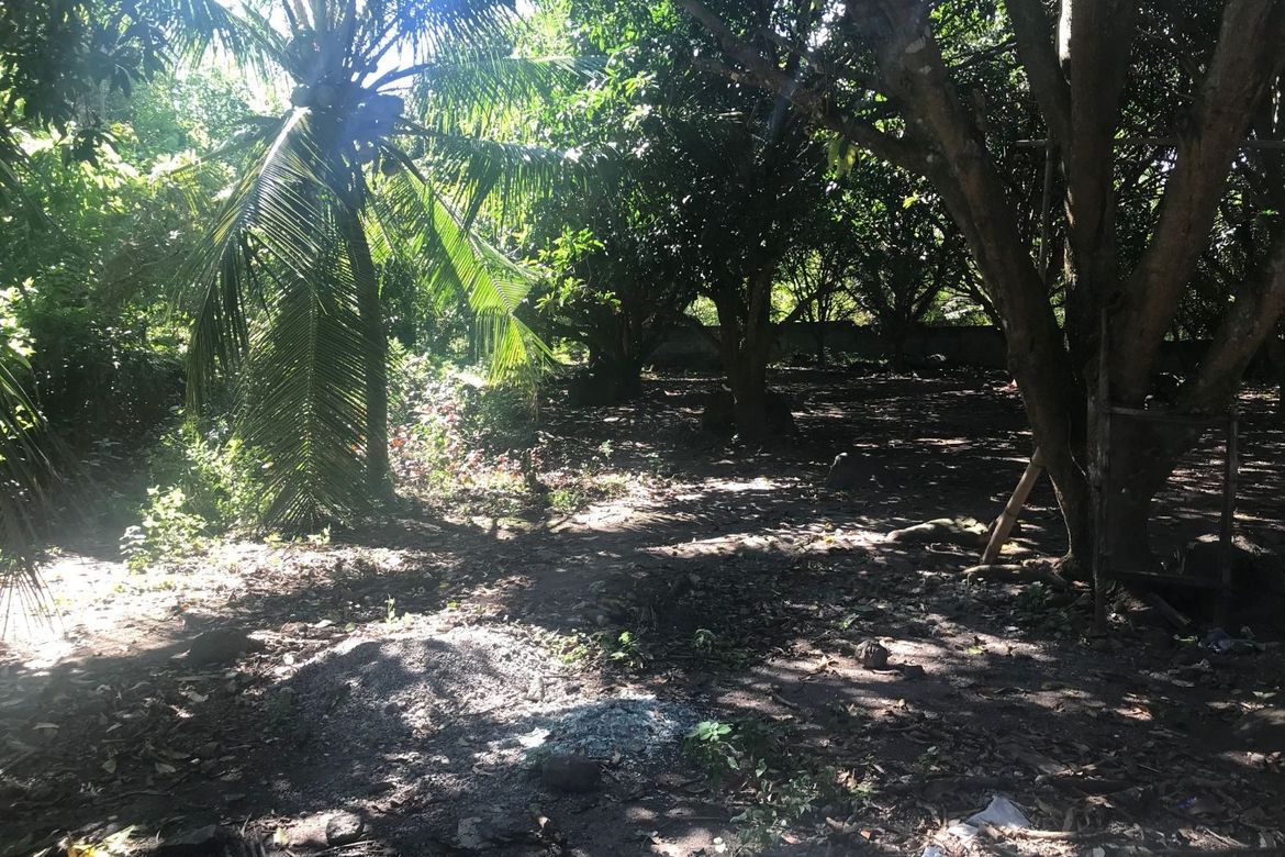Land for Sale in Tunga-Tunga, Dauin, Negros Oriental – photo 6