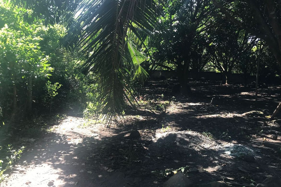 Land for Sale in Tunga-Tunga, Dauin, Negros Oriental – photo 8