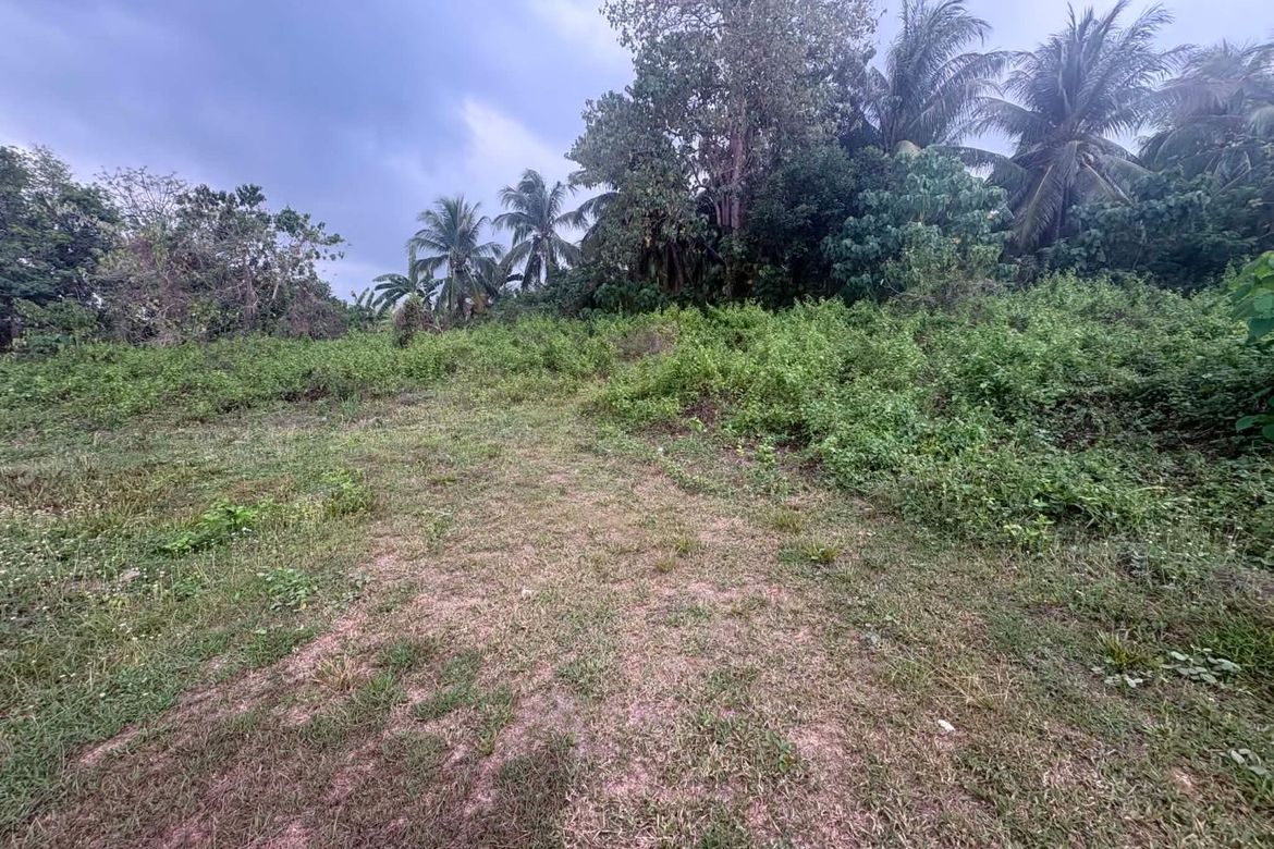 Land for Sale in Tunga-Tunga, Dauin, Negros Oriental