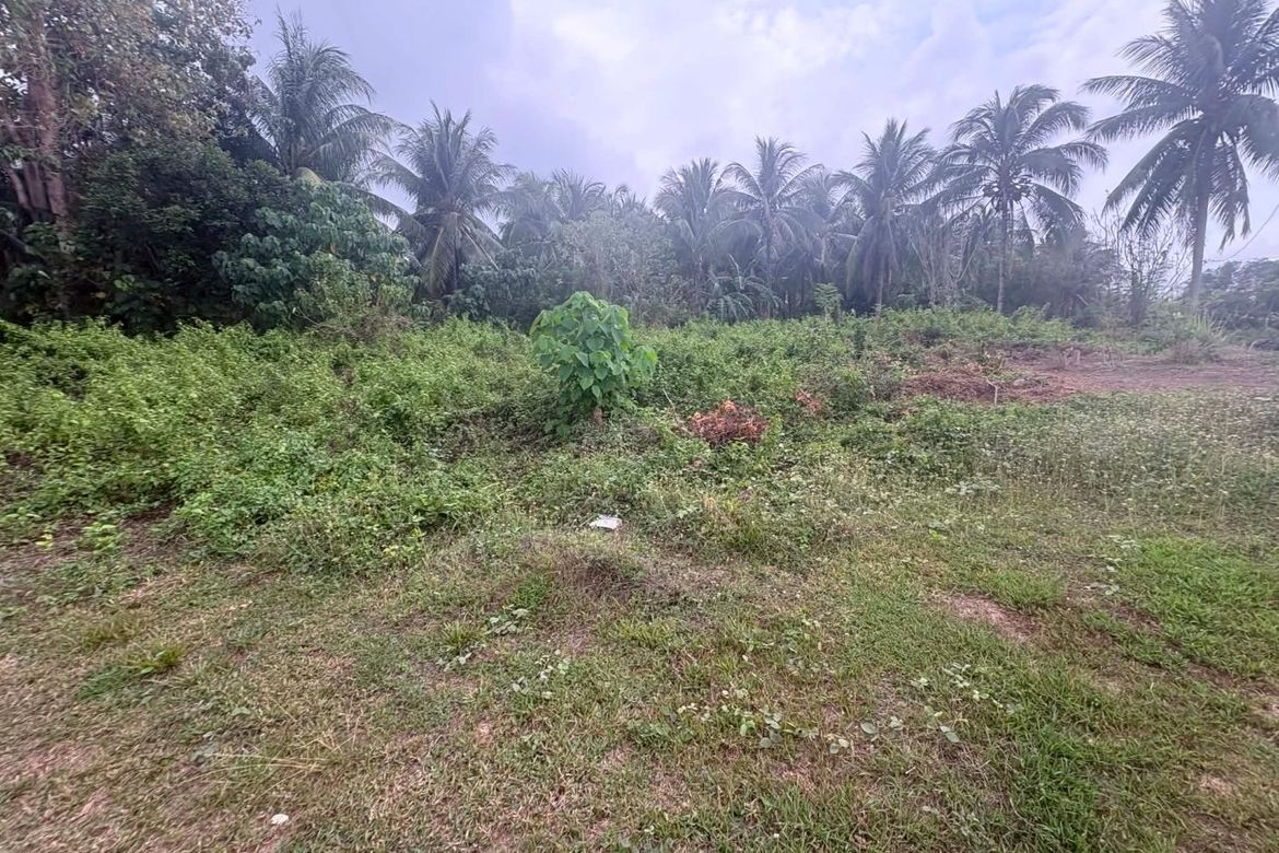 Land for Sale in Tunga-Tunga, Dauin, Negros Oriental – photo 2