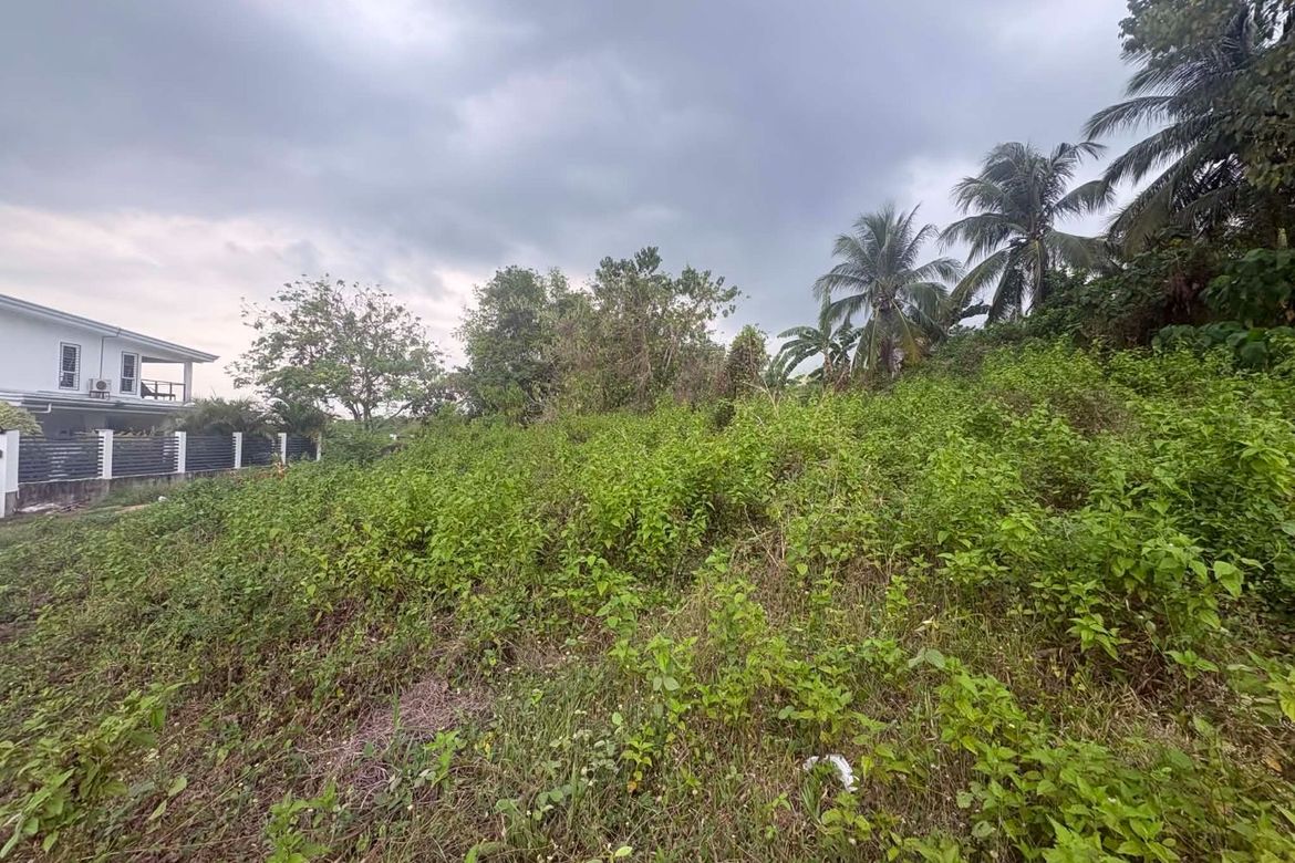 Land for Sale in Tunga-Tunga, Dauin, Negros Oriental – photo 5